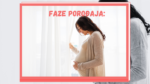 faze porodaja