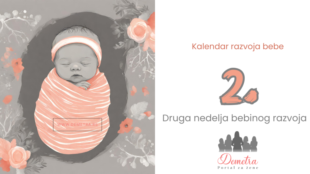 2. nedelja razvoja bebe