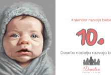 10. nedelja bebinog razvoja