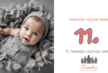 11. nedelja bebnog razvoja