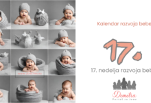 17. nedelja bebinog razvoja