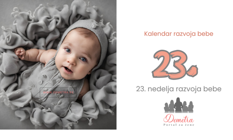 23. nedelja bebinog razvoja
