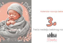 3. nedelja bebinog razvoja