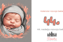 44. nedelja bebinog razvoja