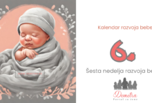 6. nedelja bebinog razvoja