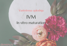 IVM metoda (In vitro maturation)