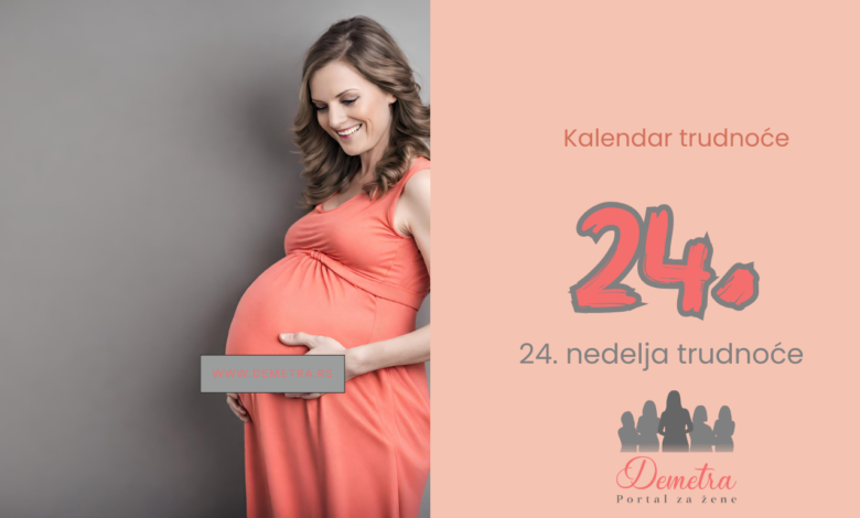 24. nedelja trudnoće