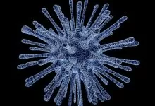 hepatitis B i trudnoća