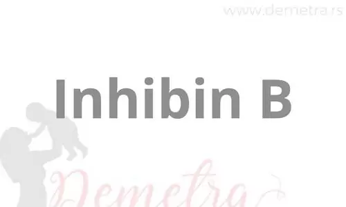 Inhibin B 2 inhibin b hormon
