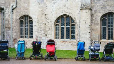 Kolica za bebe - Kako odabrati kolica za bebu? 2 kolica za bebe
