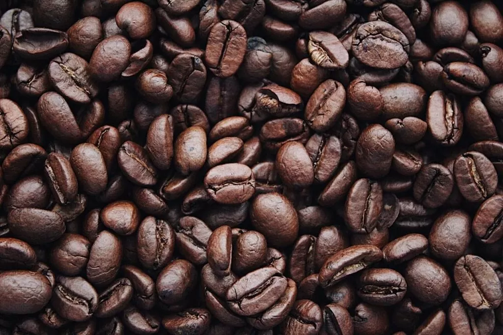 kafa u trudnoci