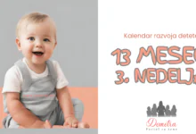 13 meseci 3. nedelja