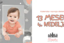 13. meseci 4. nedelja