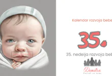 35. nedelja bebinog razvoja