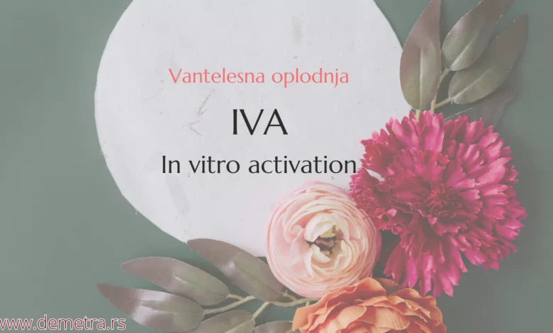 IVA metoda - In vitro activation