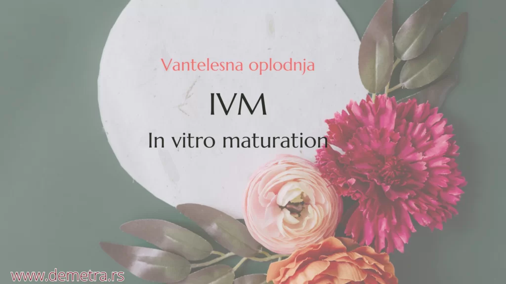 IVM metoda (In vitro maturation)
