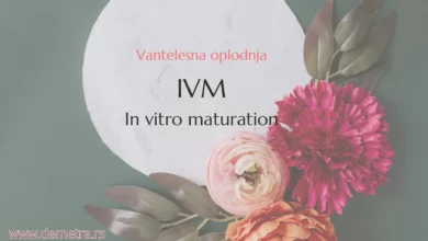 IVM metoda (In vitro maturation)