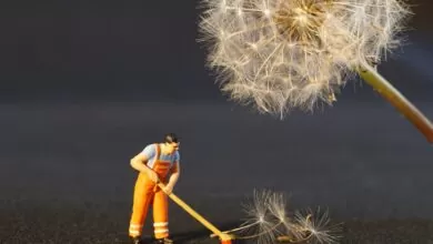 predloga kucnih poslova za decu