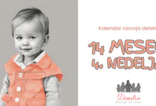 14 meseci 4. nedelja